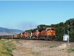 BNSF 3904